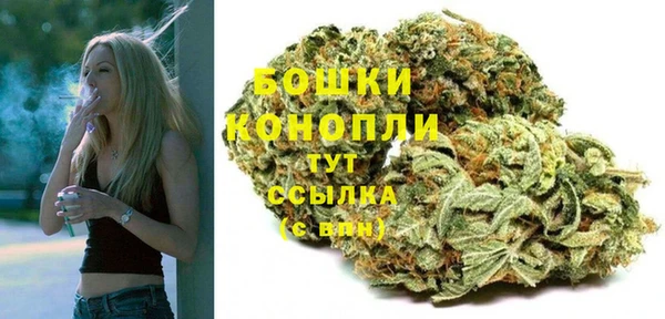гидропоника Богородицк